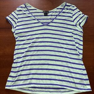 Wet Seal Sheer Purple and Green Fitted Short Sleeve T-Shirt